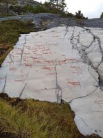 Foto: Eva Rogneflåten (2020)