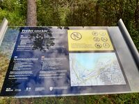 Foto: Eva Rogneflåten (2020)