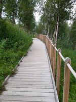 Foto: Eva Rogneflåten (2020)