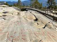 Foto: Lars Egil Sørsdal (2020)