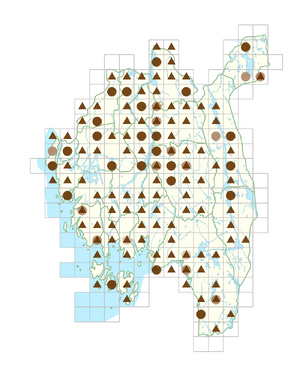 Amelanchier spicata.png