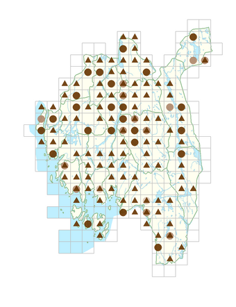 Amelanchier spicata.png