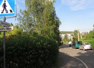 Ammerudhellinga Oslo 2013.jpg