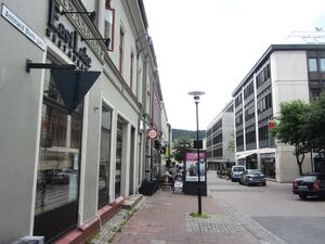 Amtmand Bloms gate Drammen 2014.jpg