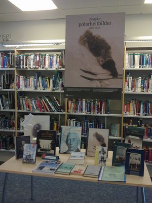 Amundsen litteratur.jpeg