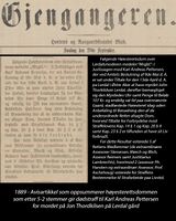 Høyesterettsdommen som gir dødstraff til Karl Andreas Pettersen for mordet på Jon Thordkilsen på Lerdal gård. Gjengangeren 1889.09.29, s. 2. Digital versjon på Nettbiblioteket.