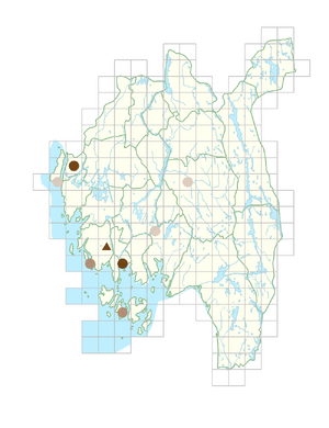 Anethum graveolens.png