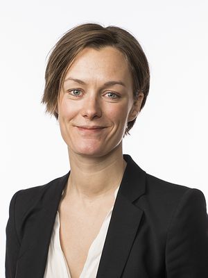 Anette Trettebergstuen Stortingsportrett 2017.jpg
