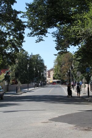 Ankerbrua (Eventyrbrua) i Oslo (2).JPG