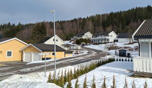 Anna Stangs veg, Kongsvinger 2025.jpg