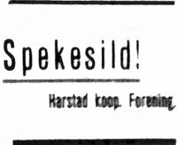 Dagens Nyheter 10. mai 1924