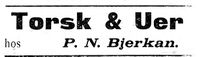 173. Annonse II fra P. N. Bjerkan i Indtrøndelagen 31.8. 1900.jpg