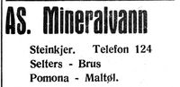 324. Annonse fra A.S. Mineralvann i Inntrøndelagen og Trønderbladet 17.10. 1934.jpg