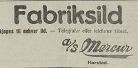 314. Annonse fra AS Mercur i Nordlys 21.08. 1923.jpg