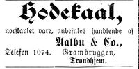 150. Annonse fra Aalbu & Co i Mjølner 23. 10. 1899.jpg