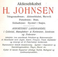 11. Annonse fra Aktieselskabet H. Johnsen under Harstadutstillingen 1911.jpg