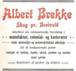 Annonse fra Albert Brekke under Harstadutstillingen 1911.jpg