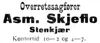 52. Annonse fra Asm Skjeflo i Indtrøndelagen 20.6.1906.jpg