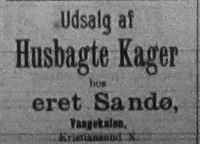 61. Annonse fra Beret Sandø i Møre Tidende 14. januar 1899.jpg