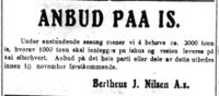 1. Annonse fra Bertheus J. Nilsen i Dagens Nyheter 3. 11. 1928.jpg