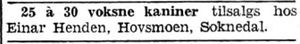 Annonse fra Einar Henden i Adresseavisen 8.10. 1942.jpg