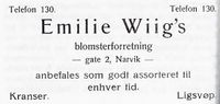 28. Annonse fra Emilie Wiigs blomsterforretning i Narvikboka 1912.jpg