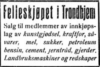 166. Annonse fra Felleskjøpet i Trønderbladet 22.12. 1926.jpg