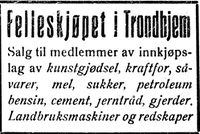 160. Annonse fra Felleskjøpet i Trønderbladet 22.12. 1926.jpg