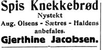 492. Annonse fra Gjerthine Jacobsen i Nord-Trøndelag og Nordenfjeldsk Tidende 09.02.33.jpg
