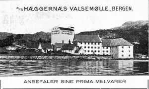 Annonse fra Hæggernæs valsemølle i Florø og litt om Sunnfjord.jpg