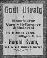 140. Annonse fra Harald Kvam i Ny Tid 1914.jpg