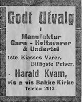 134. Annonse fra Harald Kvam i Ny Tid 1914.jpg