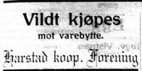 Dagens Nyheter 17. januar 1925