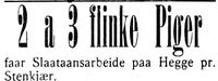 255. Annonse fra Hegge gård i Indtrøndelagen 20.6.1906.jpg