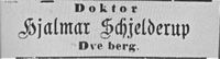 37. Annonse fra Hjalmar Schjelderup i Tromsø Amtstidende 27.02. 1889 .jpg