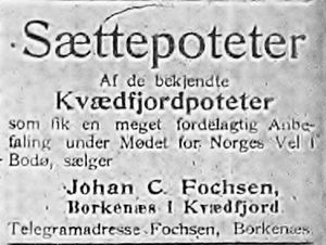 Annonse fra Johan C. Fochsen i Haalogaland 28.4.-06.jpg