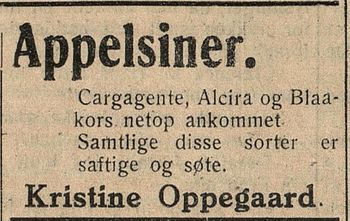 Annonse fra Kristine Oppegaard i Nordlandsposten 24.01.1928.jpg