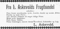 76. Annonse fra L. Askevold i Søndmøre Folkeblad 8.1.1892.jpg