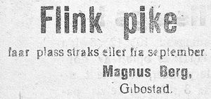 Annonse fra Magnus Berg i Haalogaland 08.07. 1920.jpg