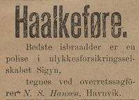 45. Annonse fra N.S. Hansen i Tromsø Amtstidende 29.11. 1895.jpg