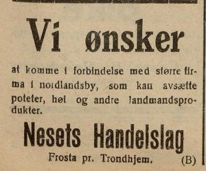 Annonse fra Nesets Handelslag, Frosta i Tromsø Stiftstidende 12.08. 1919.jpg