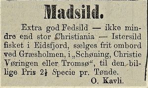Annonse fra O. Kavli i Tromsø Stiftstidende 15.11.1874.jpg