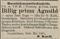 354. Annonse fra O. Kavli i Tromsø Stiftstidende 29.05.1881.jpg