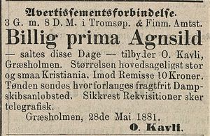 Annonse fra O. Kavli i Tromsø Stiftstidende 29.05.1881.jpg