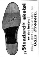 353. Annonse fra Odin Frøseth i Indtrøndelagen 20.6.1906.jpg