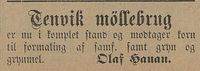 18. Annonse fra Olaf Hauan i Tromsø Amtstidende 25.10. 1896.jpg