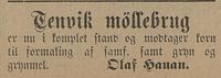 20. Annonse fra Olaf Hauan i Tromsø Amtstidende 25.10. 1896.jpg
