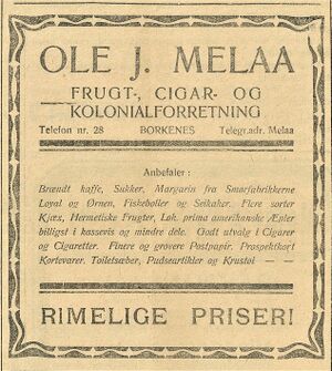 Annonse fra Ole J. Melaa i Folkeviljen 1.10. 1919.jpg