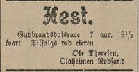2. Annonse fra Ole Thoresen i Haalogaland 01.08. 1908.jpg