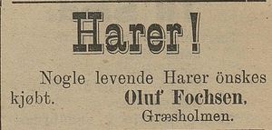 Annonse fra Oluf Fochsen i Tromsø Amtstidende 07.05. 1900.jpg